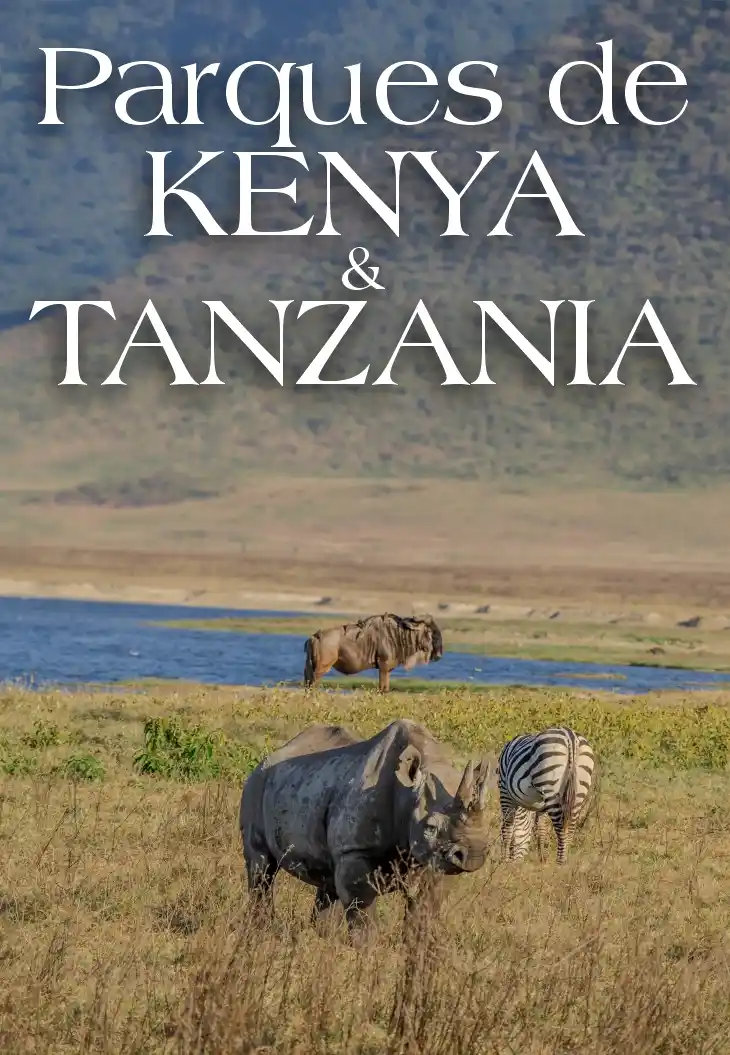 PARQUES DE KENYA Y TANZANIA