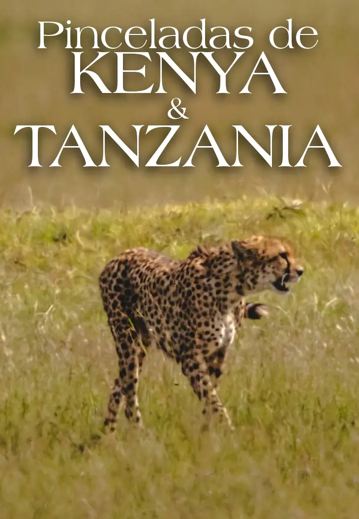 PINCELADAS DE KENYA Y TANZANIA